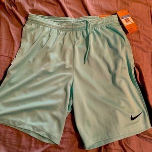 Men’s size medium mint green Nike short